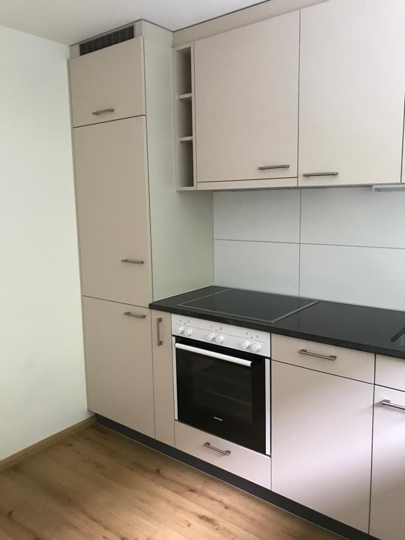 Appartamento mansardato 2 camere disponibile immediatamente (3)