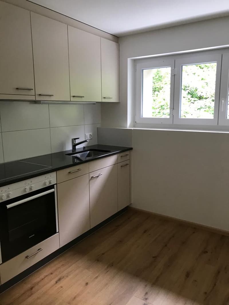 Appartamento mansardato 2 camere disponibile immediatamente (2)
