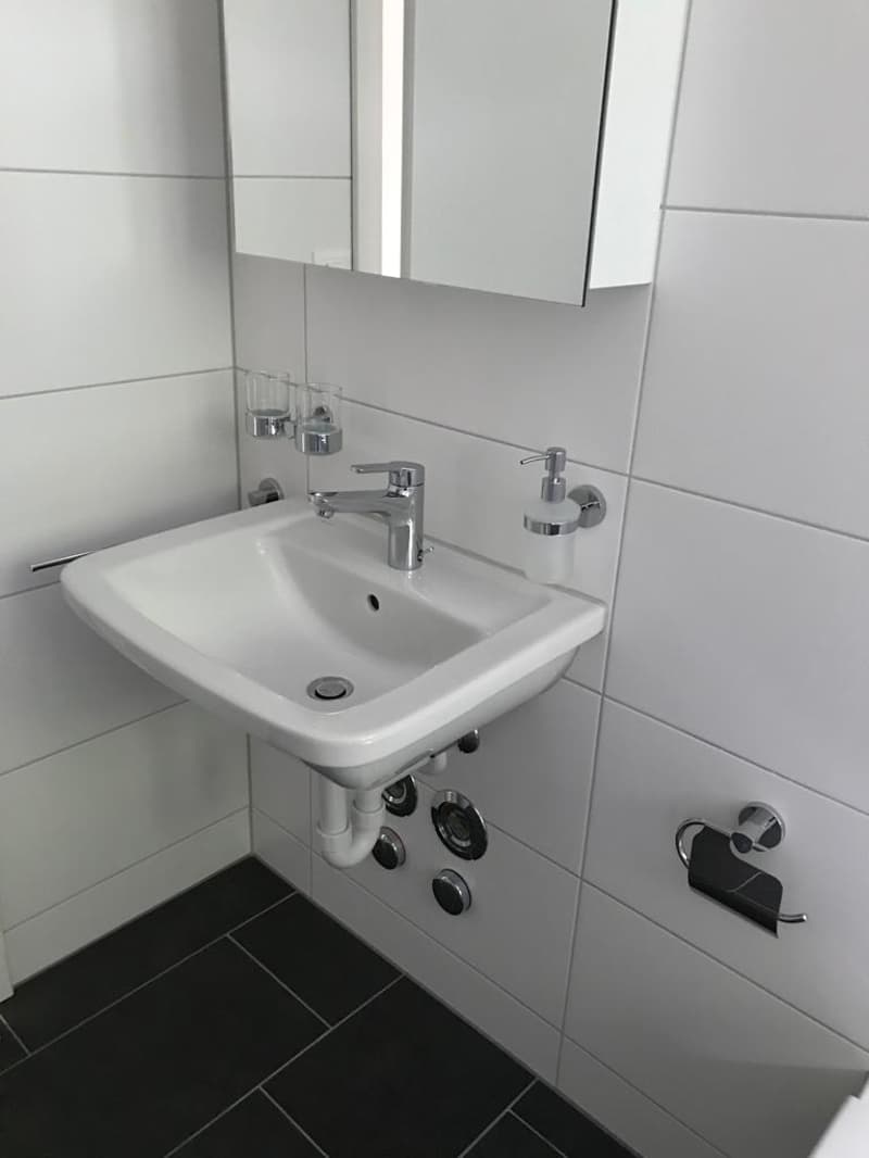Appartamento mansardato 2 camere disponibile immediatamente (8)