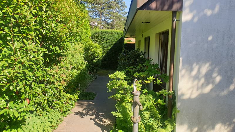 Charmantes Einfamilienhaus in Münchenstein! (5)