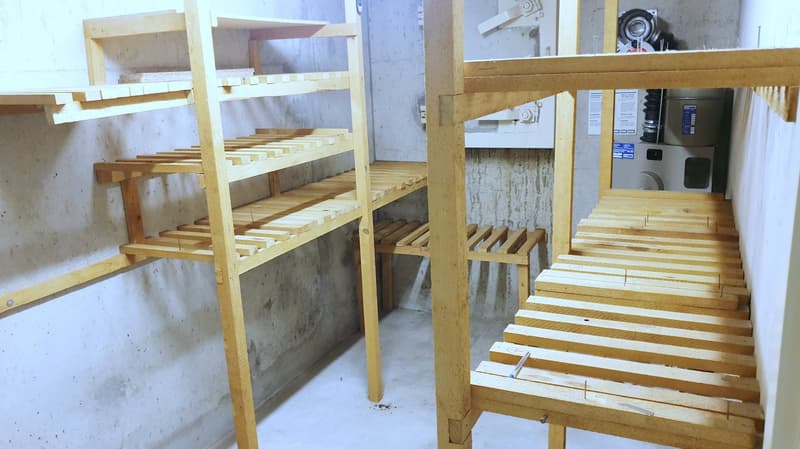 Charmantes Einfamilienhaus in Münchenstein! (30)