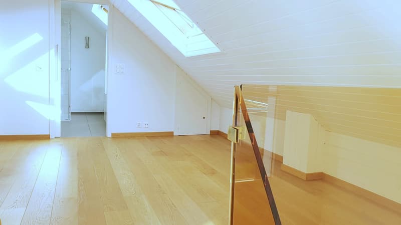 Charmantes Einfamilienhaus in Münchenstein! (12)