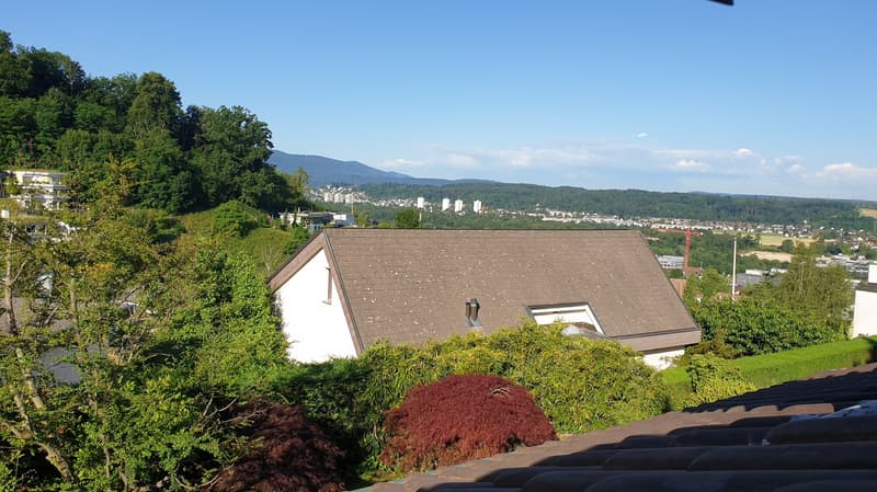 Charmantes Einfamilienhaus in Münchenstein! (2)