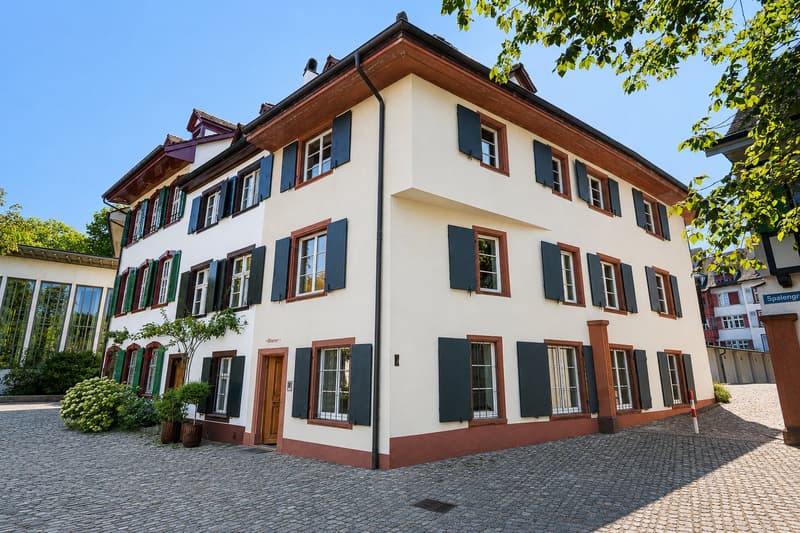 Einmalige Kaufgelegenheit am Petersplatz – historisches Stadthaus im Herzen von Basel (31)