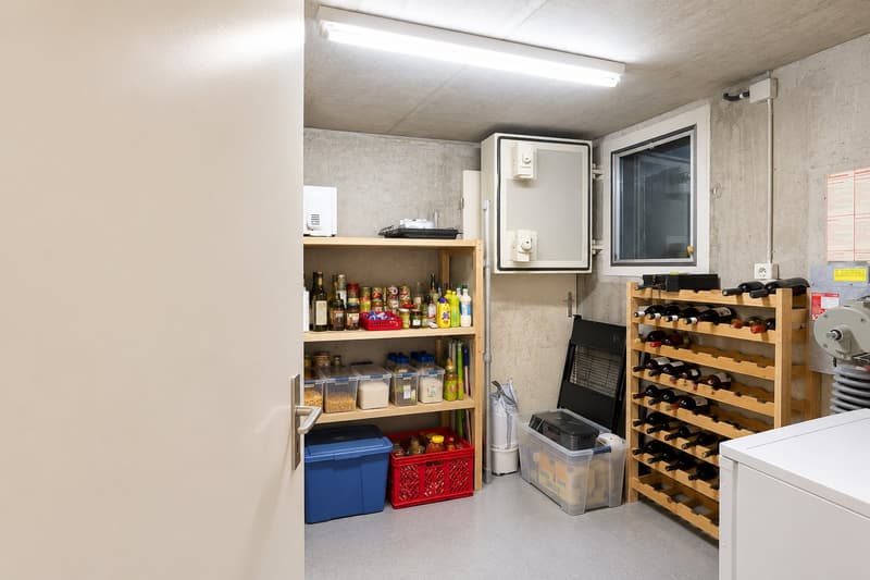 Grosszügiges 5.5-Zimmer-Eck-Einfamilienhaus mit Garten und viel Platz in Pratteln (19)