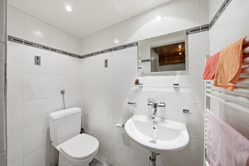Maison individuelle de 7.5 pièces à Echallens (14)