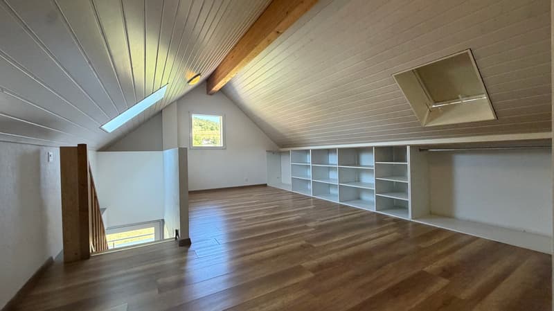 Charmant appartement de 3,5pces + 25 m2 de mezzanine (7)
