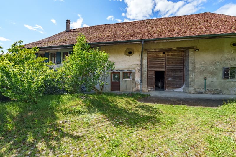Maison villageoise à transformer (4)