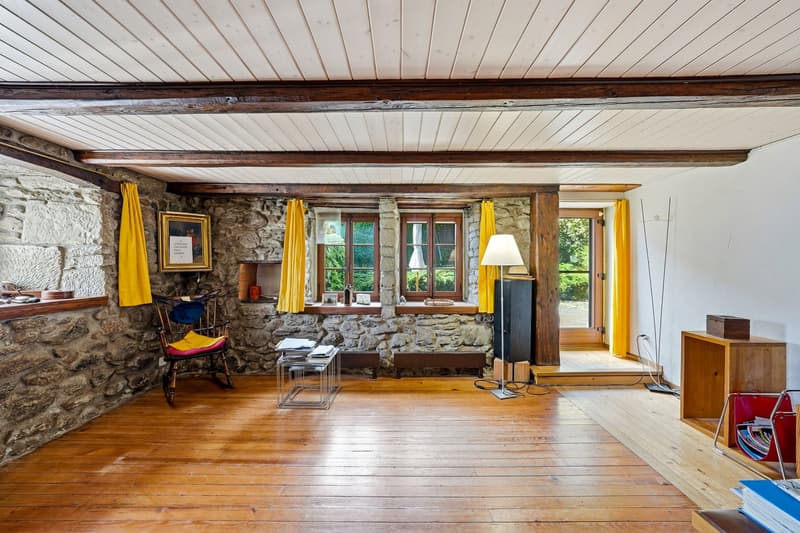 Maison individuelle de 9.5 pièces à Villars-Mendraz (7)
