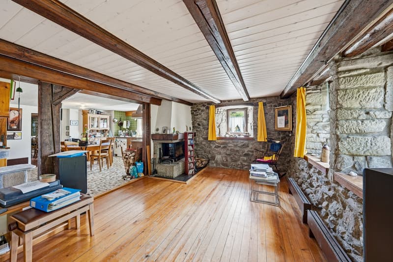Maison individuelle de 9.5 pièces à Villars-Mendraz (6)