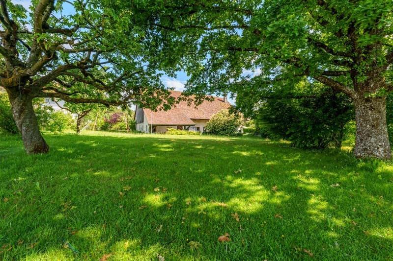 Maison individuelle de 9.5 pièces à Villars-Mendraz (4)