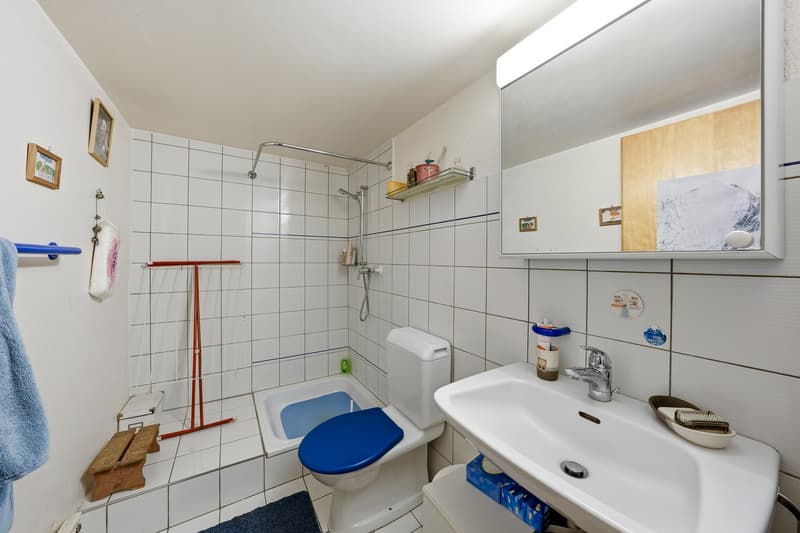 Maison individuelle de 9.5 pièces à Villars-Mendraz (11)