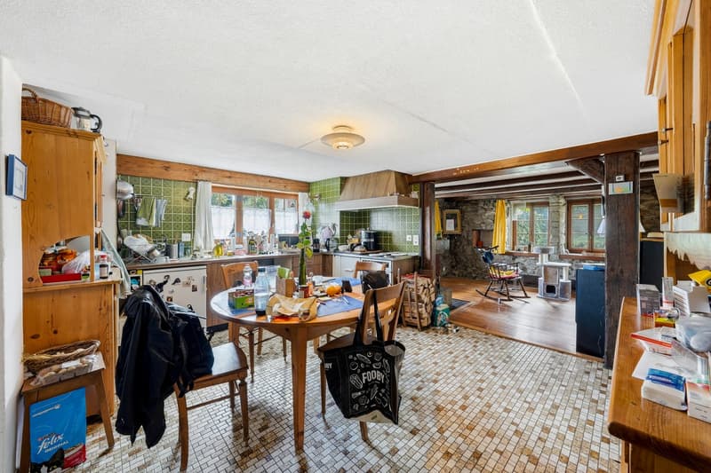 Maison individuelle de 9.5 pièces à Villars-Mendraz (5)