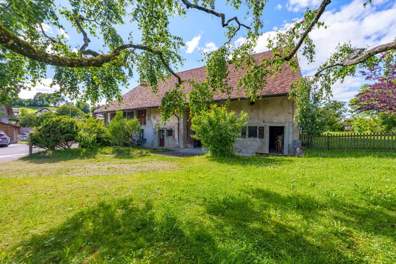 Maison individuelle de 9.5 pièces à Villars-Mendraz (2)