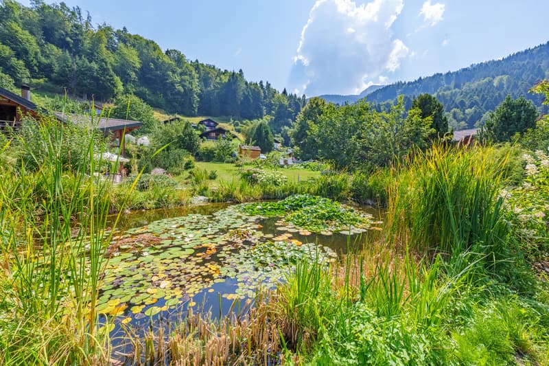 A 15 min de Monthey - Magnifique maison individuelle (3)