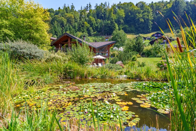 A 15 min de Monthey - Magnifique maison individuelle (2)