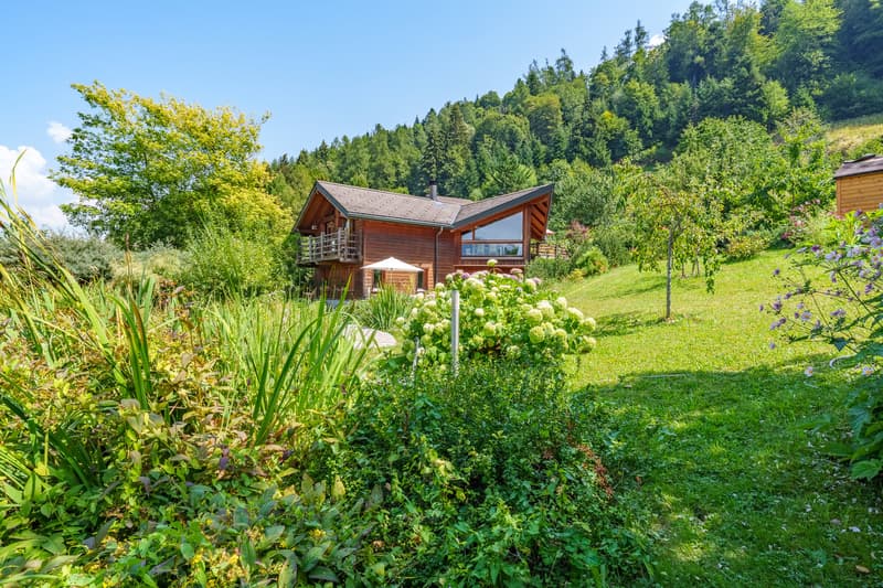A 15 min de Monthey - Magnifique maison individuelle (4)