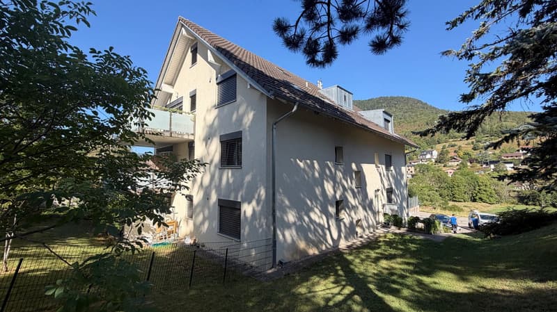 Appartement de 3,5pces + 25 m2 de mezzanine – Disponible immédiatement (1)
