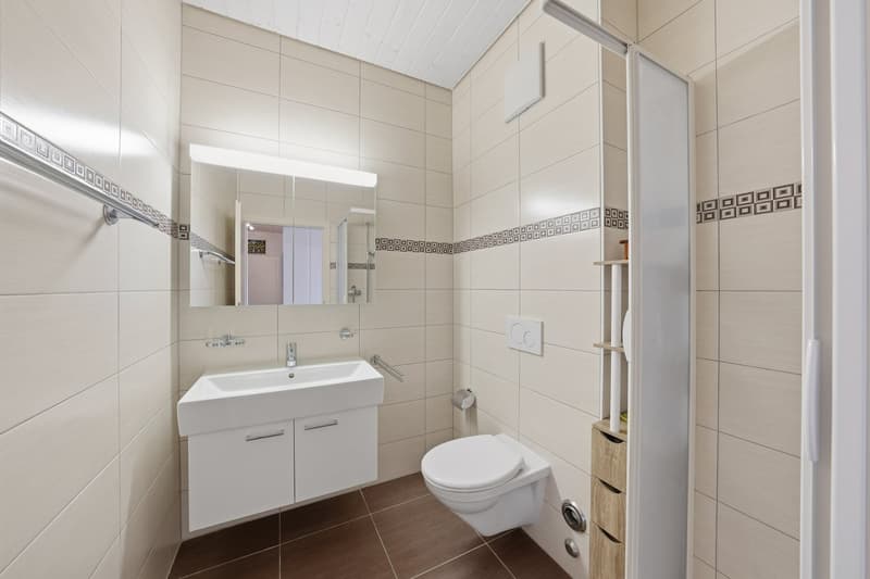 Magnifique appartement avec vue dégagée (10)