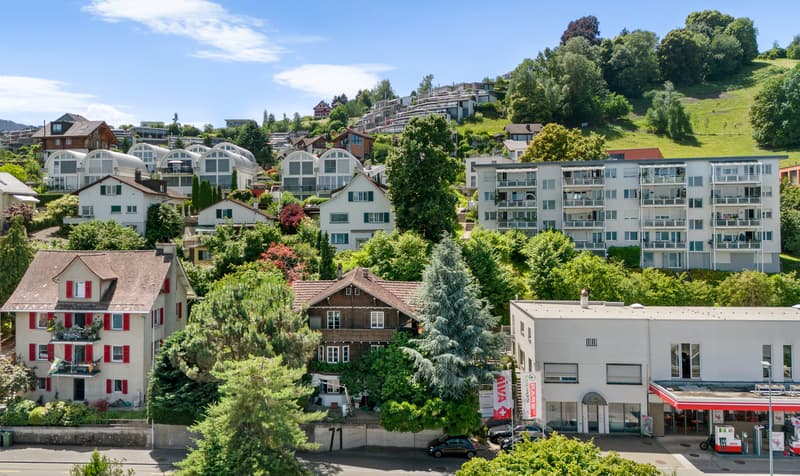 Lake Vista Richterswil (5)