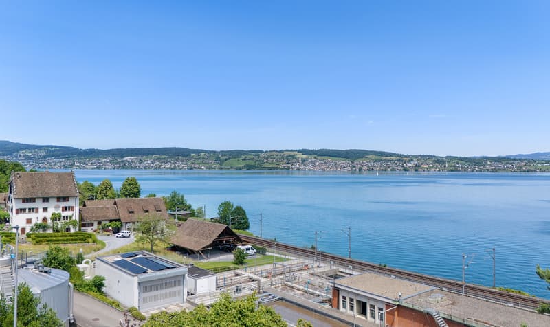 Lake Vista Richterswil (4)