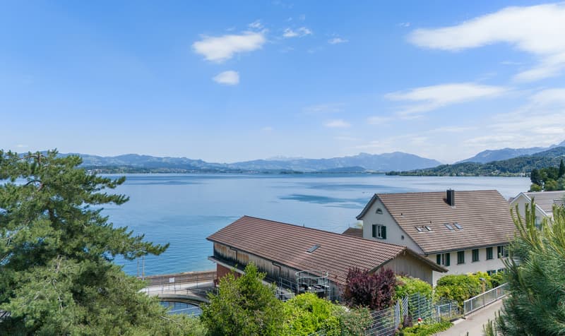 Lake Vista Richterswil (6)
