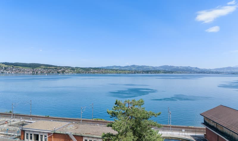 Lake Vista Richterswil (3)