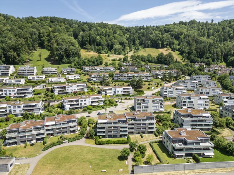 Stallikon_Langfurenstrasse_6