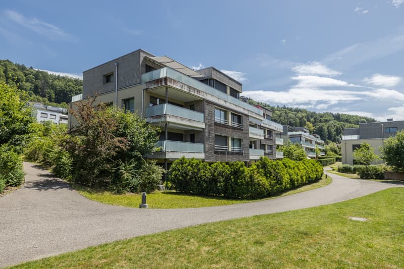 Stallikon_Langfurenstrasse_6
