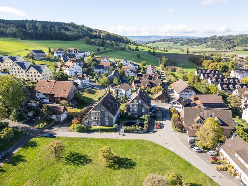 Bonstetten_Birchstrasse_11