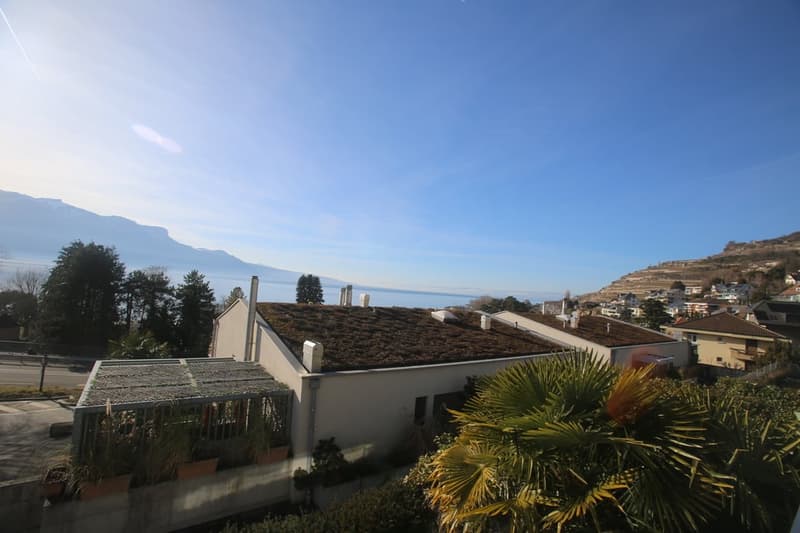 House overlooking mountains and sea, with green roof, surrounded by trees and plants.