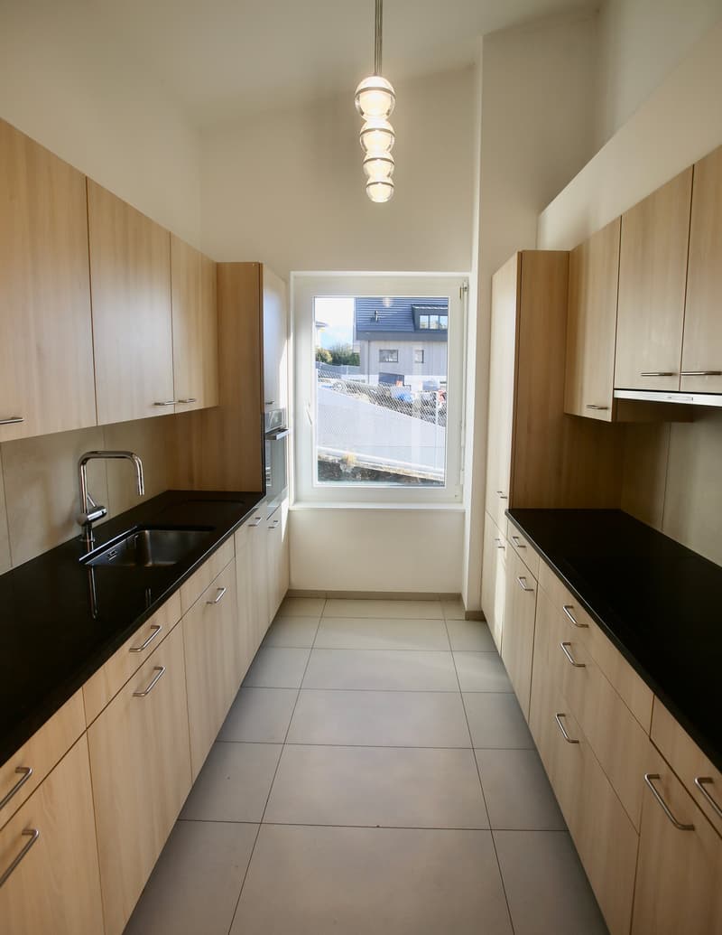 Modern kitchen with wooden cabinets, black countertops, stainless steel sink, window with view, under cabinet lighting