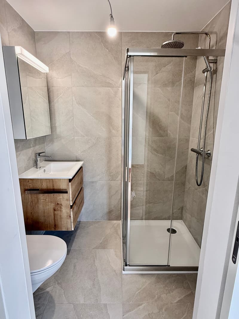 Magnifique appartement en attique de 4.5 pièces à Attalens – Vue panoramique et cadre calme (9)