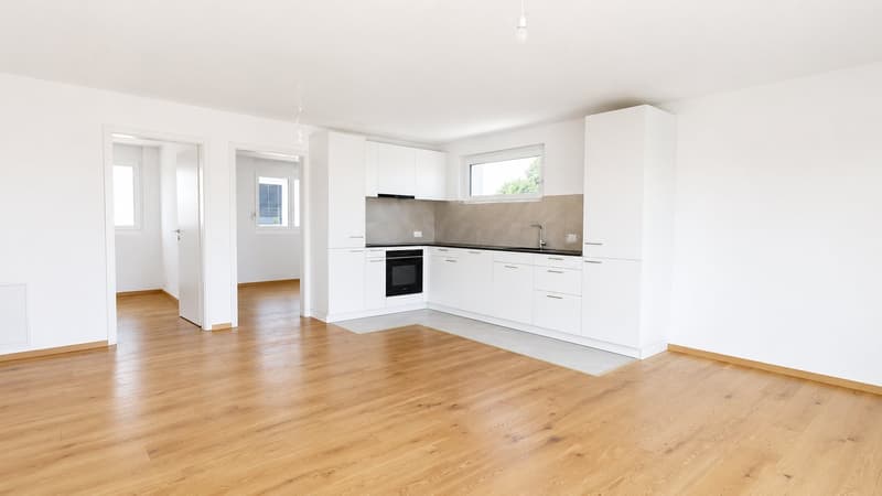 Appartement neuf de 4.5 pièces avec grand balcon et vue panoramique à Attalens (3)