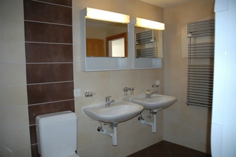 2 sinks, 2 mirrors, white toilet, under-mount sinks, brown tiled wall, radiator, faucets
