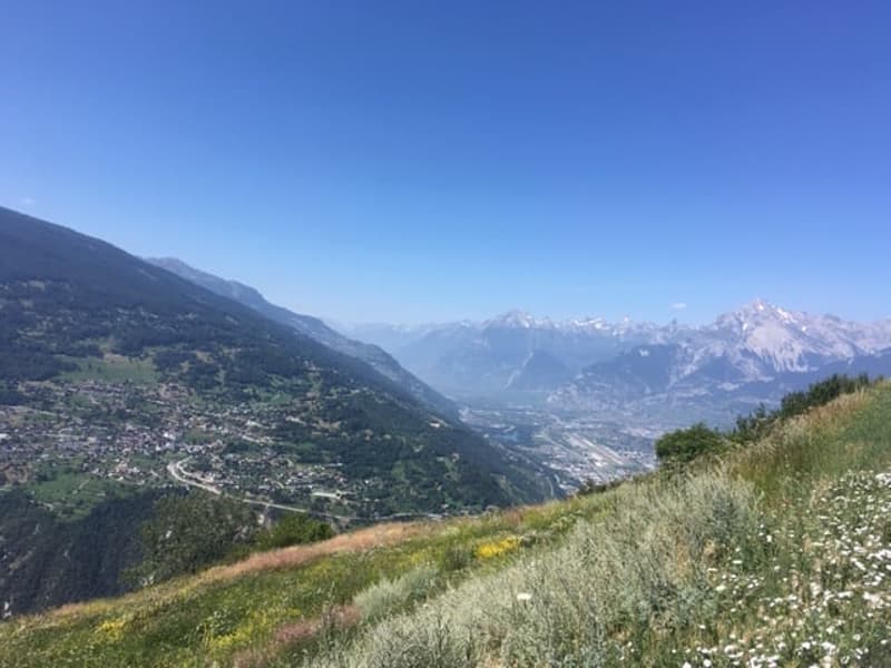NAX / Val d'Hérens, 3 pièces, vue magnifique (10)