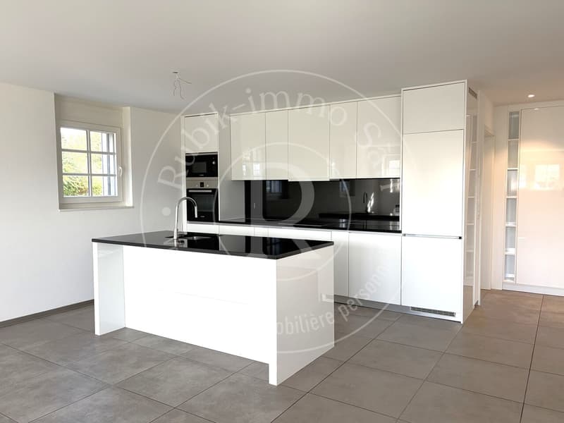 Duplex de charme en seins d'une ferme entièrement rénovée (1)