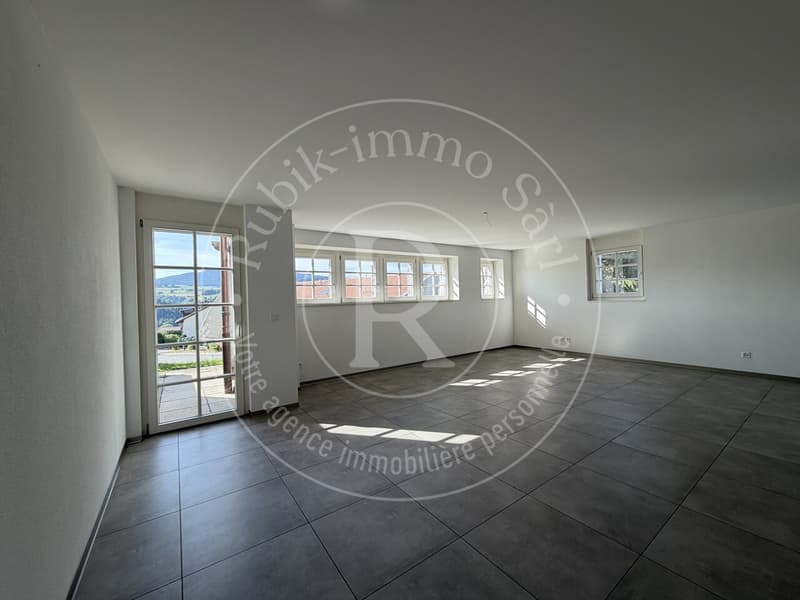 Duplex de charme en seins d'une ferme entièrement rénovée (1)