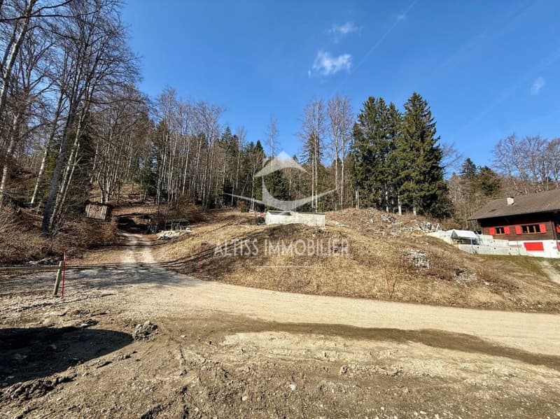 Duplex de 5,5 pièces (13)