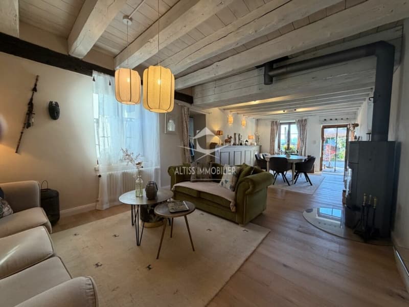Maison de charme entièrement rénovée (3)