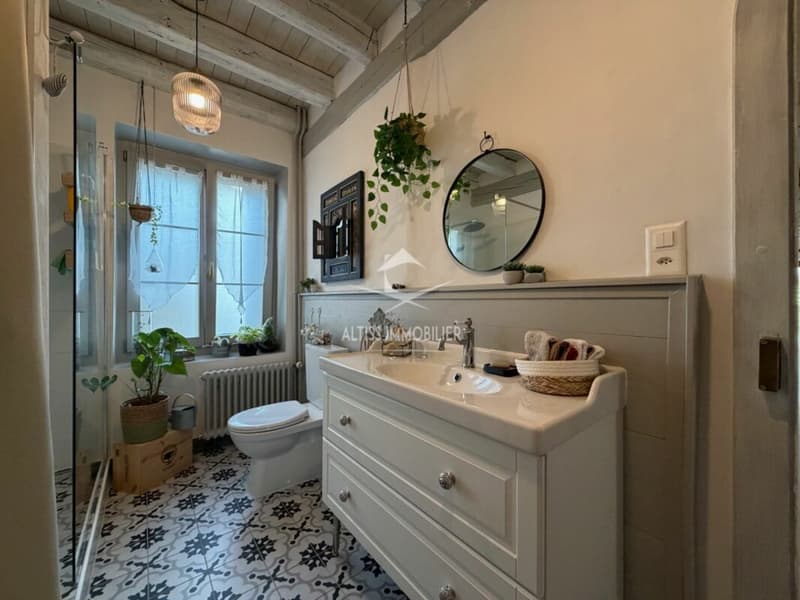 Maison de charme entièrement rénovée (10)