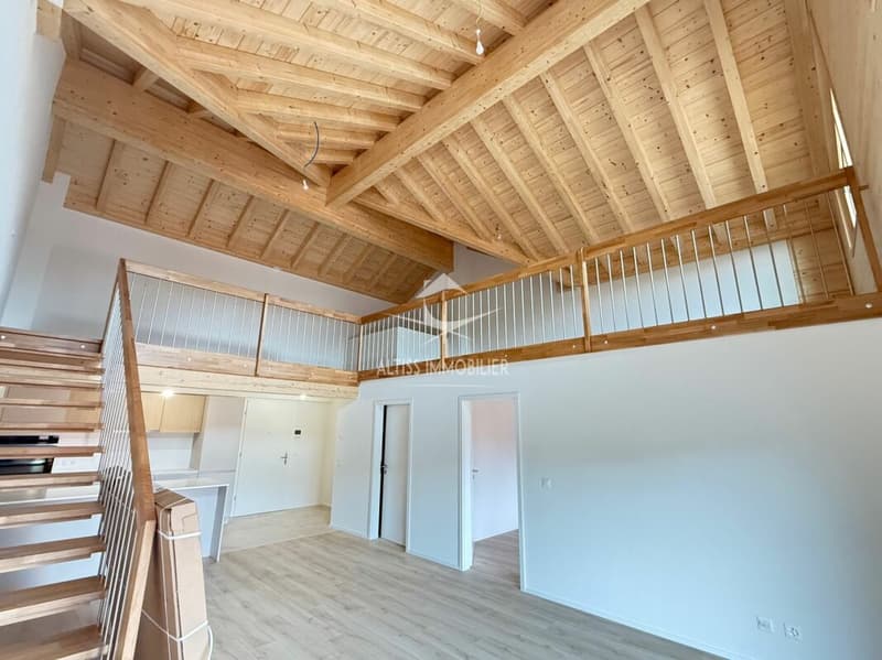 Attique 3,5 pièces neuf, belle mezzanine. (1)