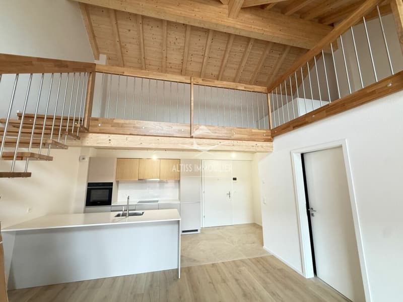 Attique 3,5 pièces neuf, belle mezzanine. (4)