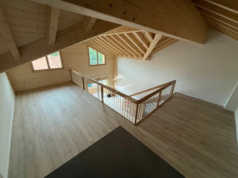 Attique 3,5 pièces neuf, belle mezzanine. (10)