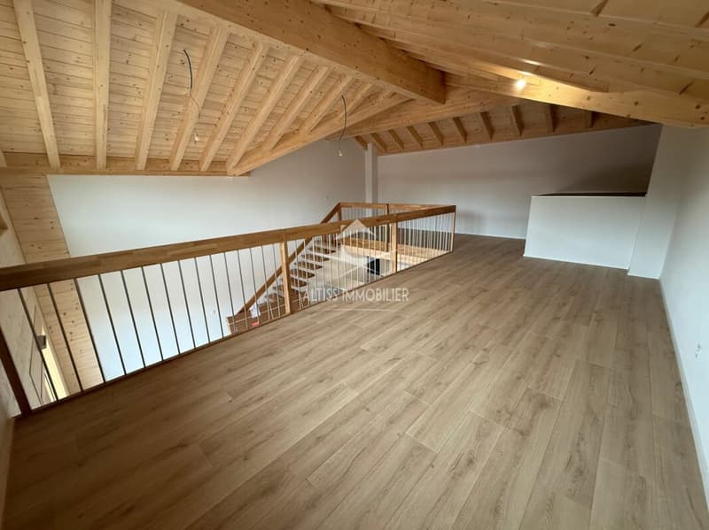 Attique 3,5 pièces neuf, belle mezzanine. (10)