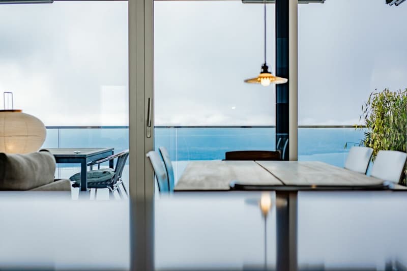 VILLAS BELVÉDÈRE - APPARTEMENT 4,5 PIÈCES AVEC VUE UNIQUE SUR LE LAC (13)