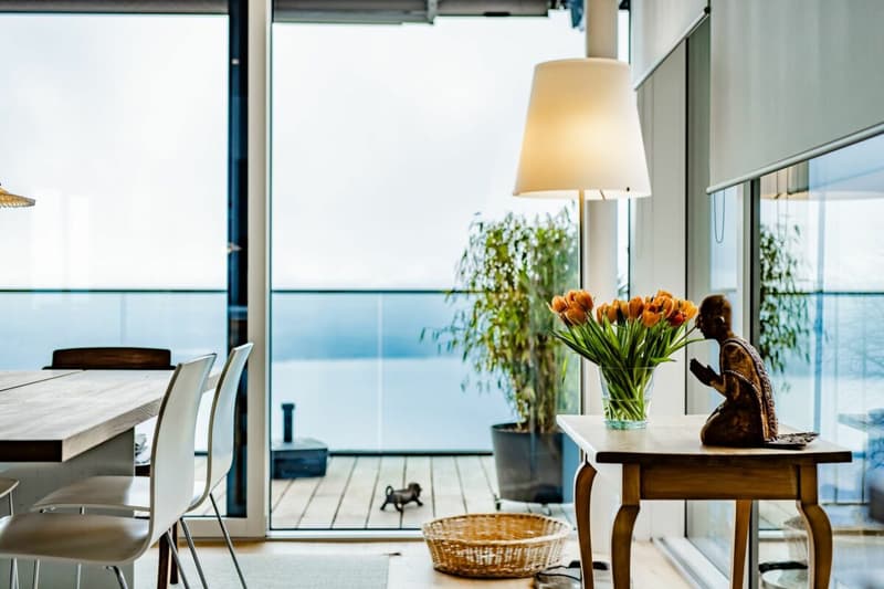VILLAS BELVÉDÈRE - APPARTEMENT 4,5 PIÈCES AVEC VUE UNIQUE SUR LE LAC (10)