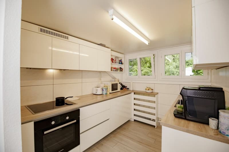 Immeuble locatif "Les Hortensias" (5)