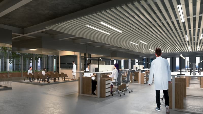 Ihre neuen gemischten Flächen im Herzen der Zone Zimeysa (9)