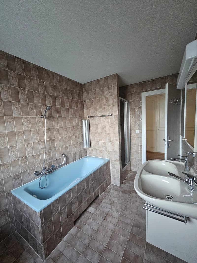 Martigny - Grand appartement de 4.5 pièces (11)
